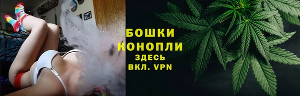 ГАЛЛЮЦИНОГЕННЫЕ ГРИБЫ Армянск
