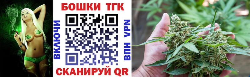 Канабис сатива  Купить где  Сланцы 